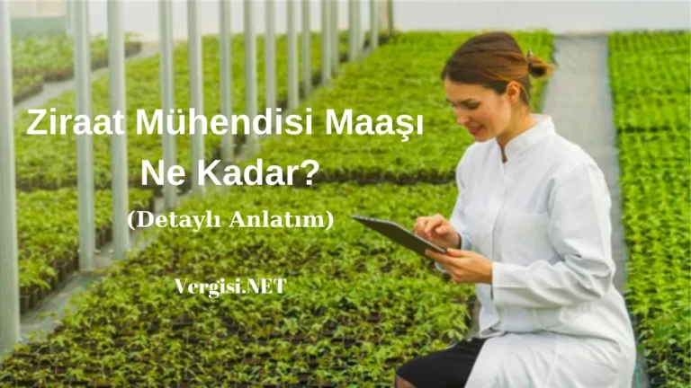 Ziraat Mühendisi Maaşı Ne Kadar?